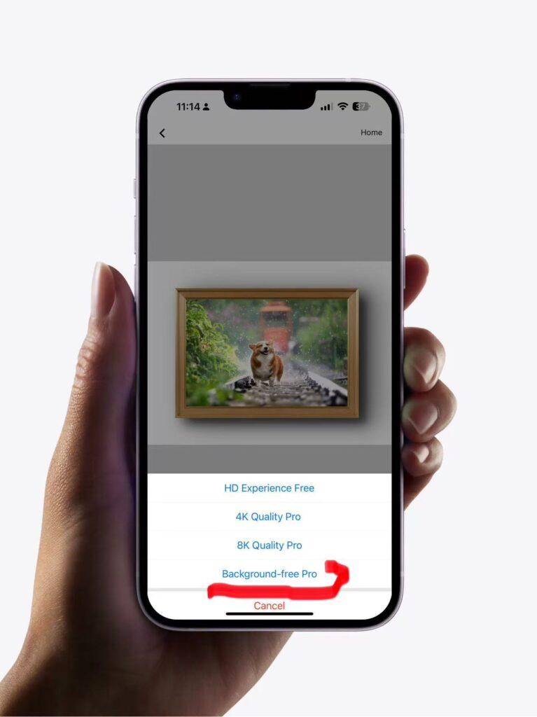Framed artwork with transparent background, demonstrating how Wallartee allows users to save images with frames and no background for flexible use
