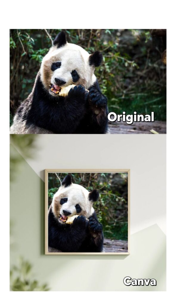 Canva for artists mockup comparison showing cropped artwork composition.